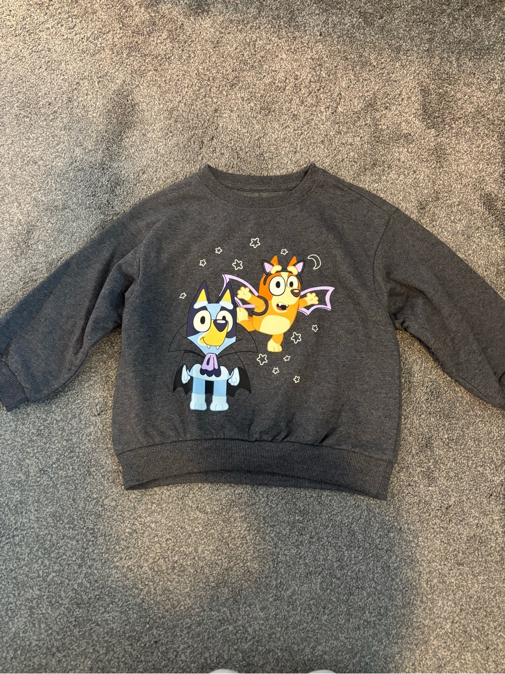 Kids Grey Graphic Sweatshirt with Bingo & Bluey Halloween